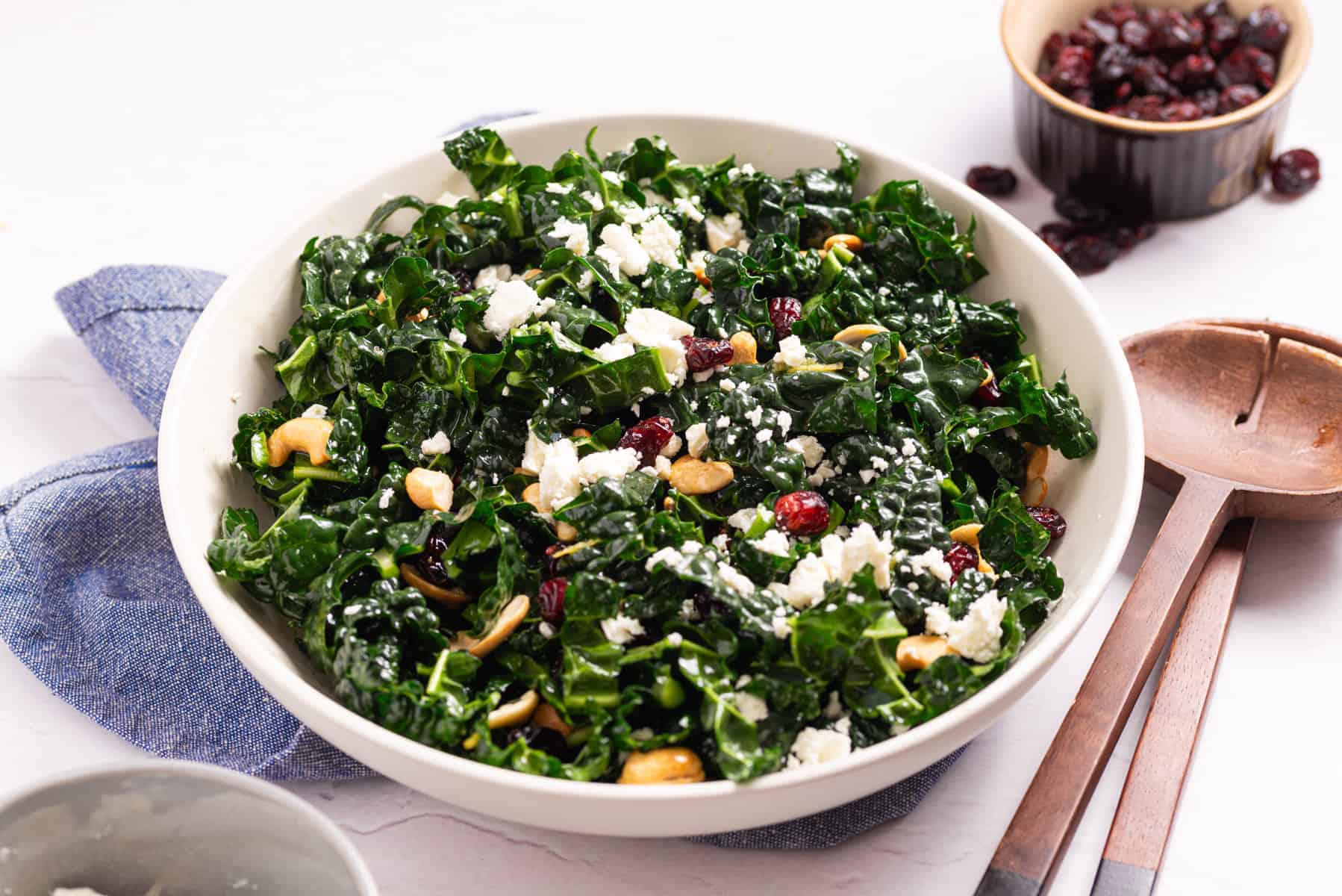 A horizontal image of kale salad with cranberries.