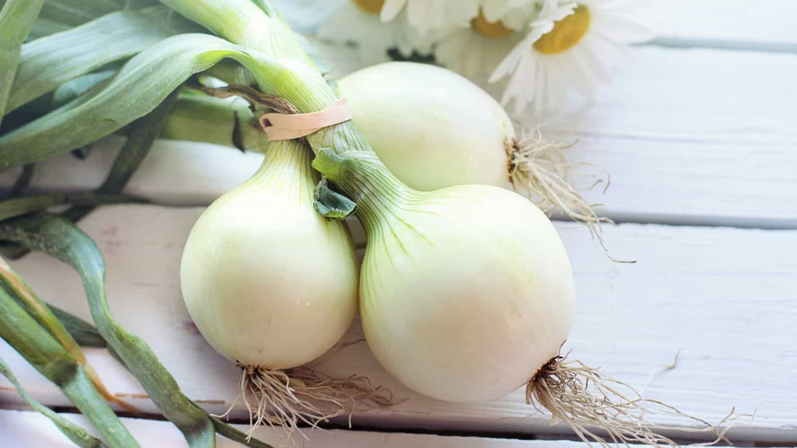 White Onions.