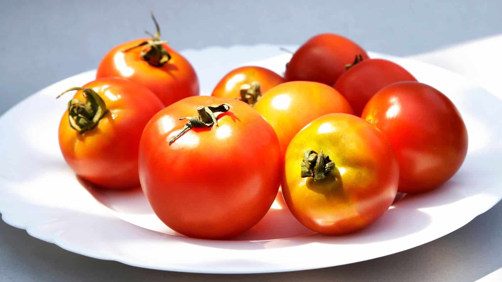 A plate of tomatoes in white background.