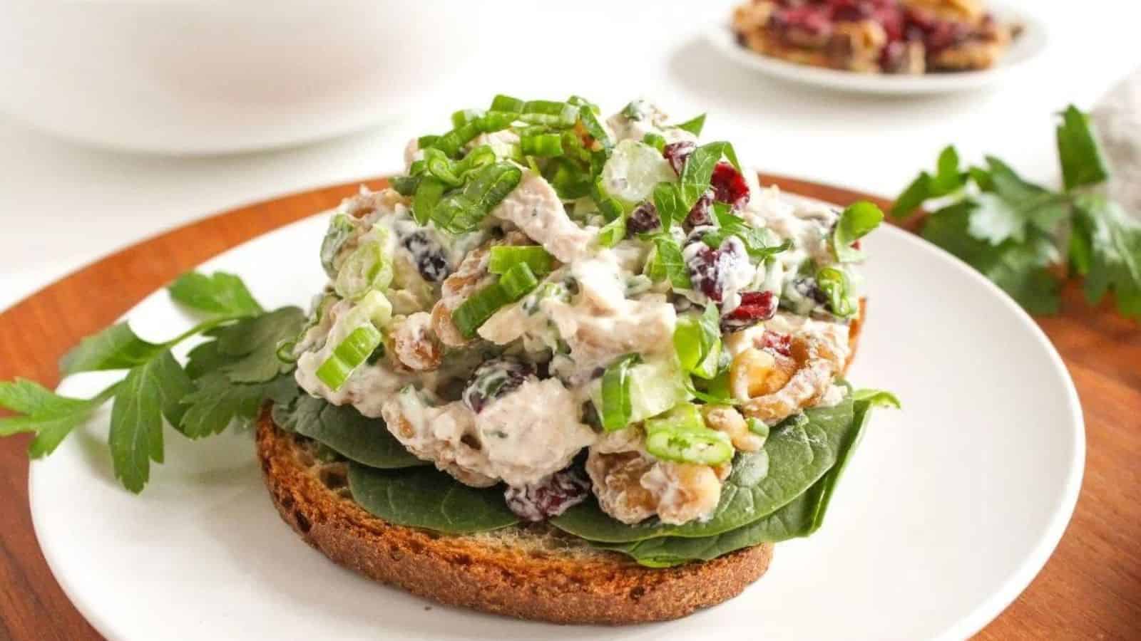 A slice of toast with cranberry chicken salad on top.