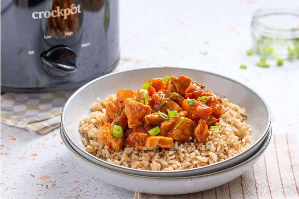 A bowl of rice and chicken in front of a crockpot.