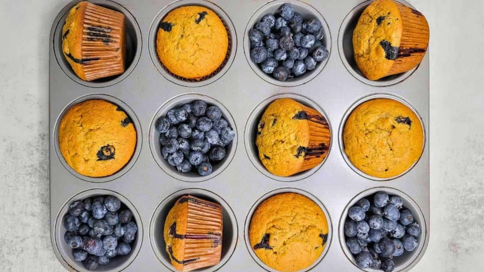 Blueberry muffins in a muffin tin.