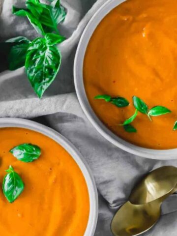 Top view of 2 bowls of homemade tomato soups.