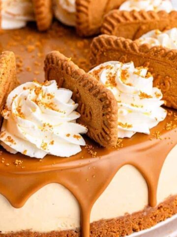 Biscoff cheesecake with whipped cream and cookies.