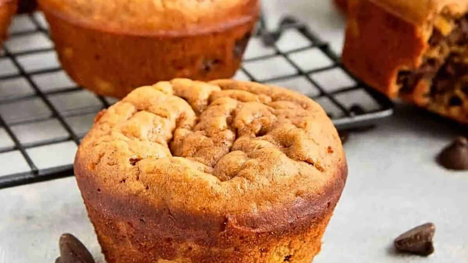 Pumpkin protein muffins on a black cooling rack with one muffin a bite out of it and chocolate chips around it.