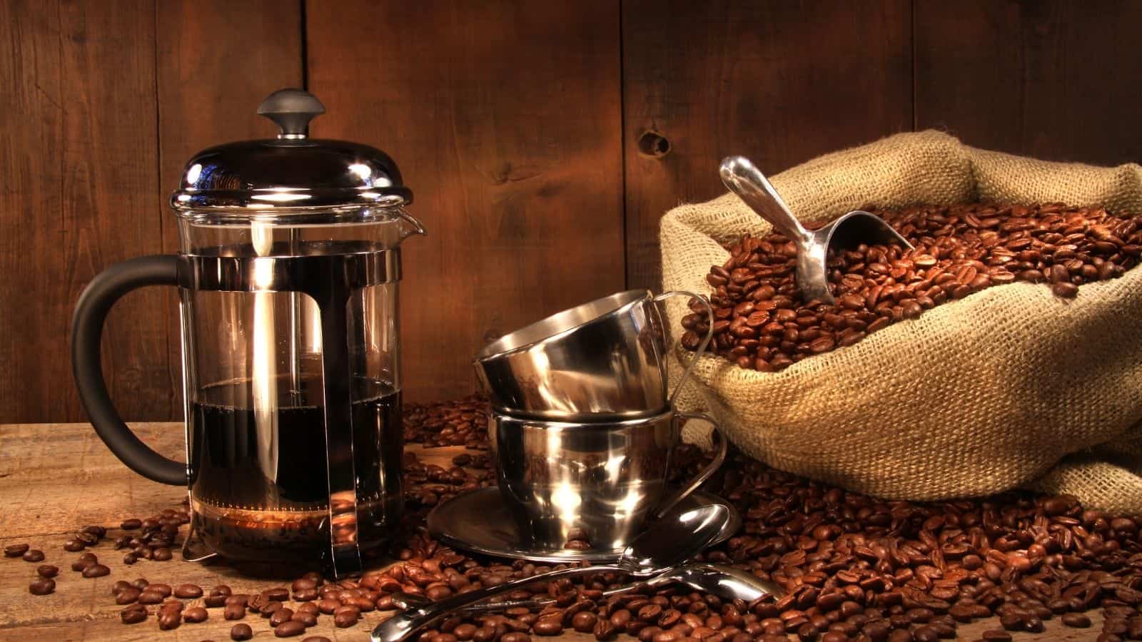 Sack of coffee beans with french press.