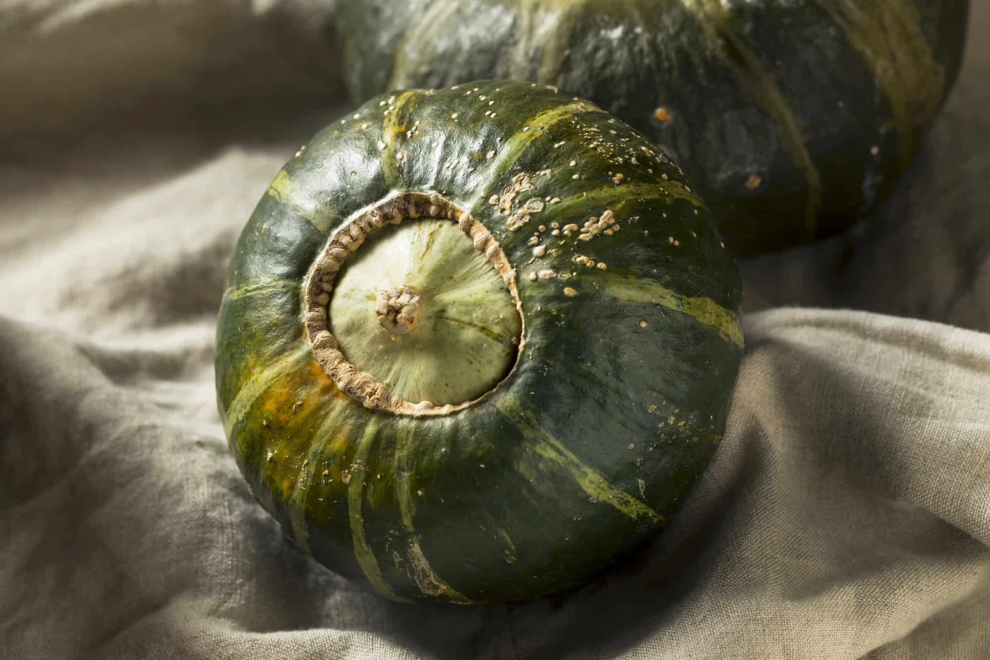 An image of Buttercup Squash.