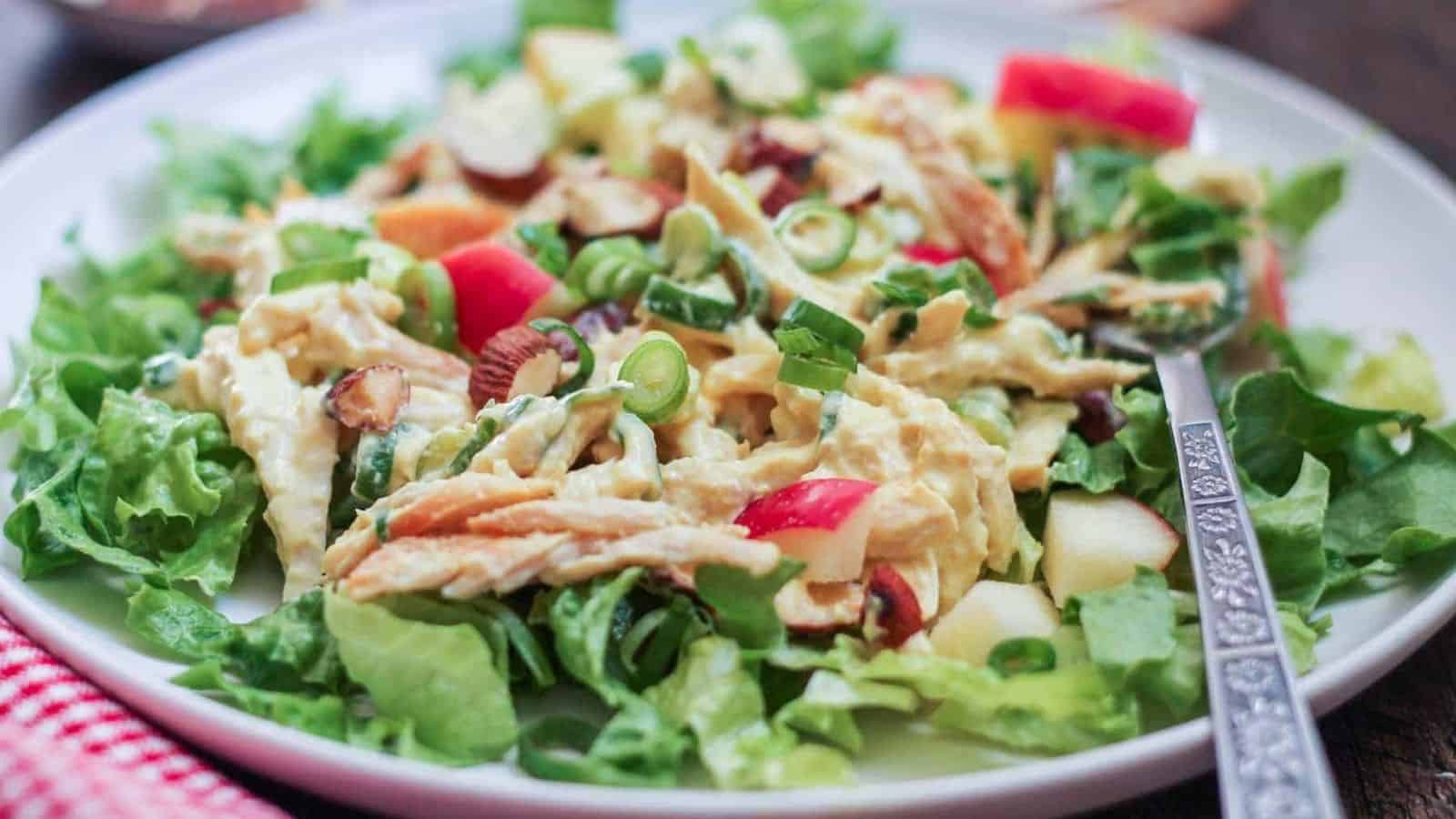 A plate of Greek yogurt chicken salad.