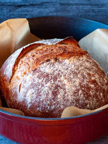 A loaf of Quick Dutch Oven Bread in a braiser.