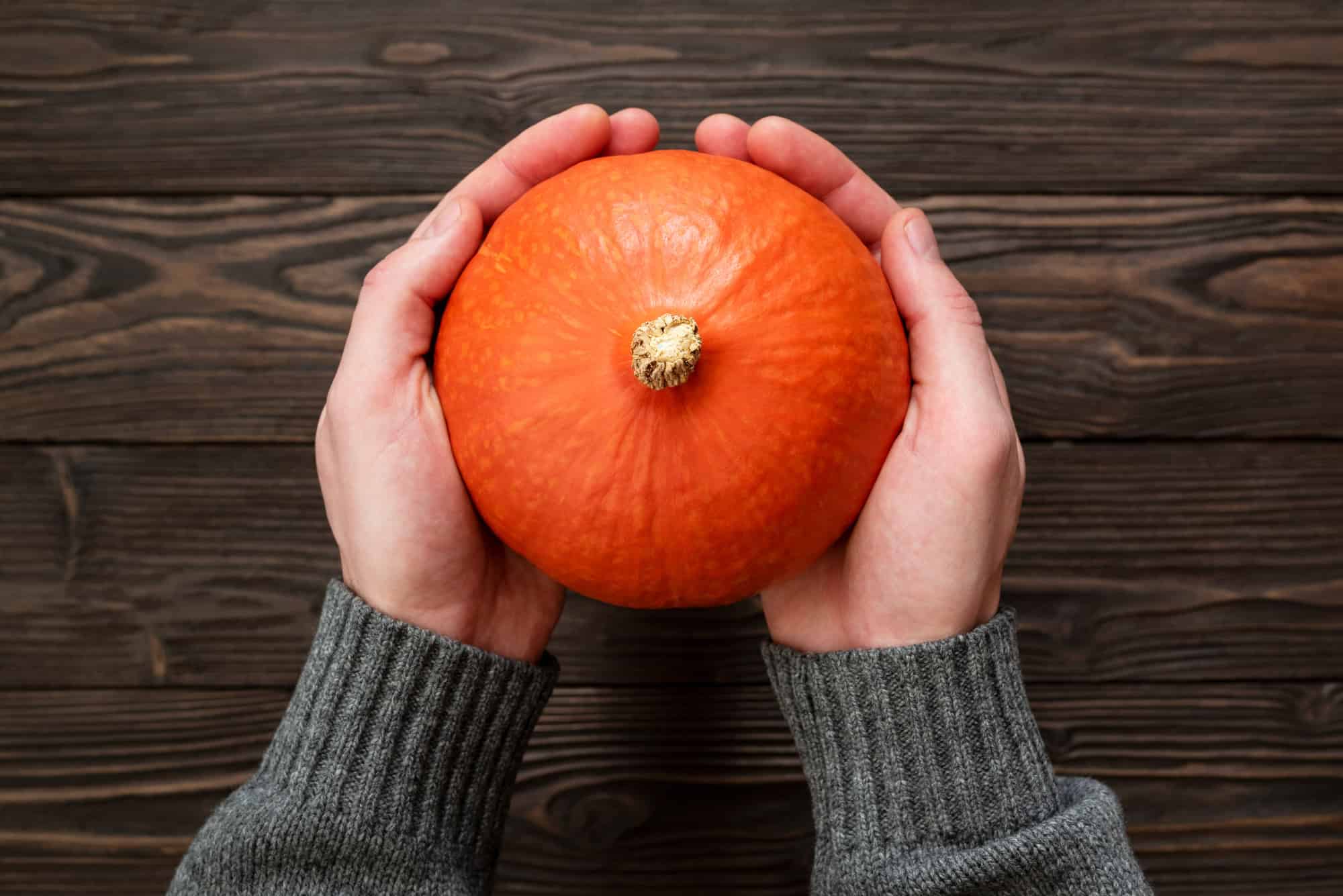 Someone holding a Red Kuri Squash.