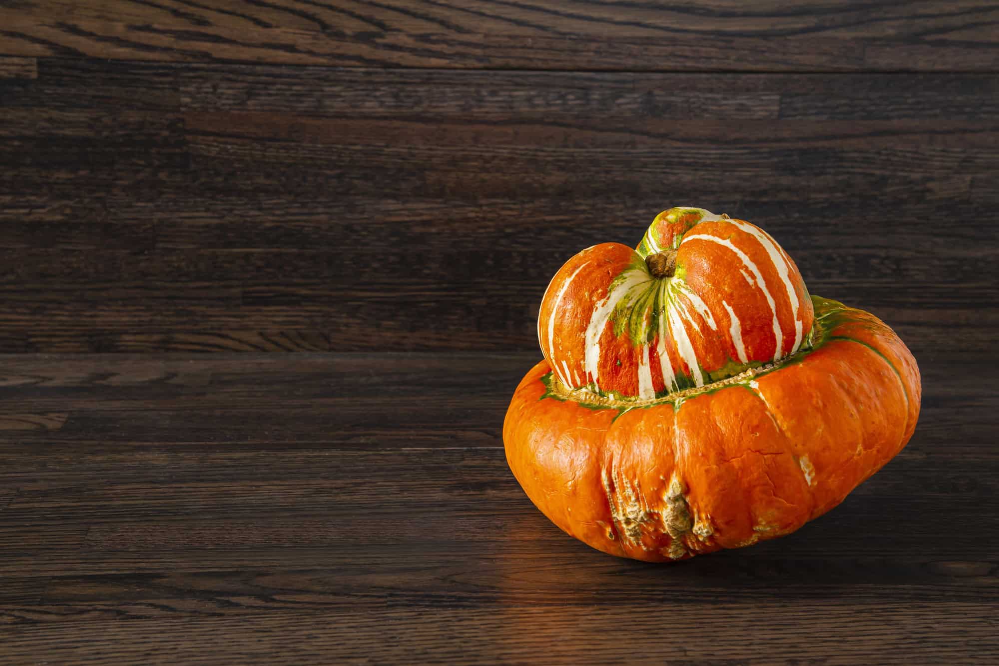 An image of a Turban Squash.