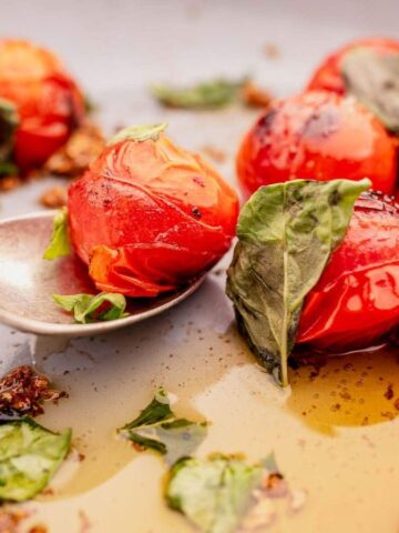 An image of Blistered Tomatoes.