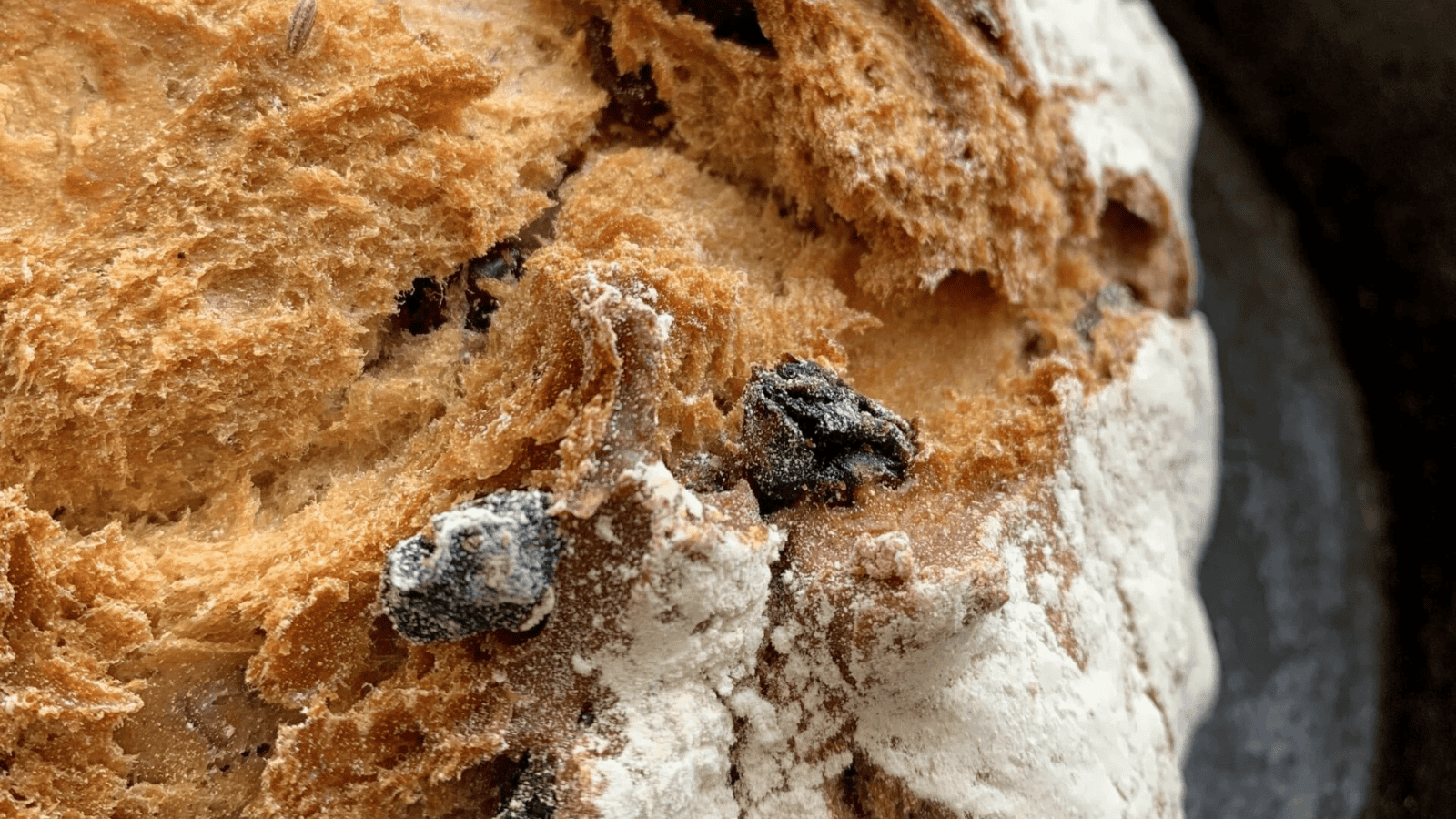 Irish Soda Bread with Raisins and Caraway close up.