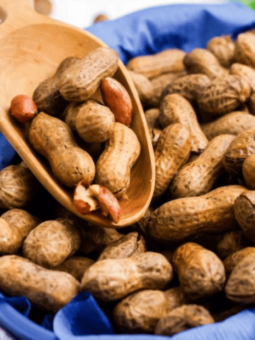 Instant Pot Boiled Peanuts scooped.
