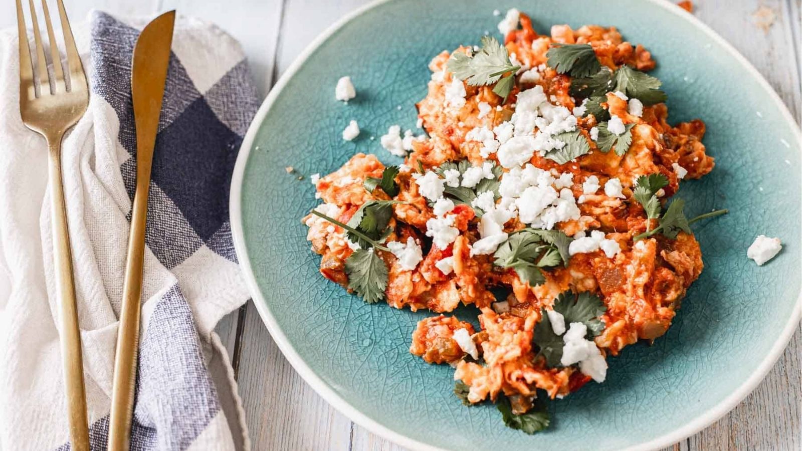 Close-up image of Mexican matzo brei Chilaquiles on a plate.