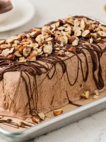 A picture of chocolate hazelnut semifreddo on a pan.
