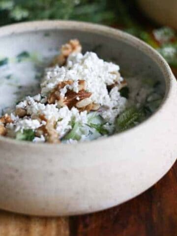 A bowl of Cold Bulgarian Soup.