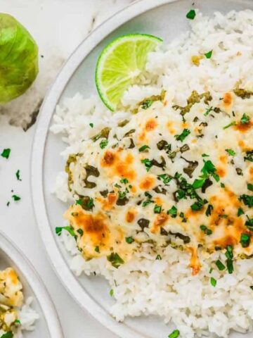 Top view of a plate of rice topped with Salsa Verde Chicken.